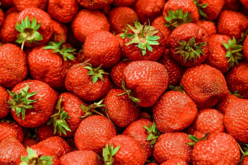Fresas