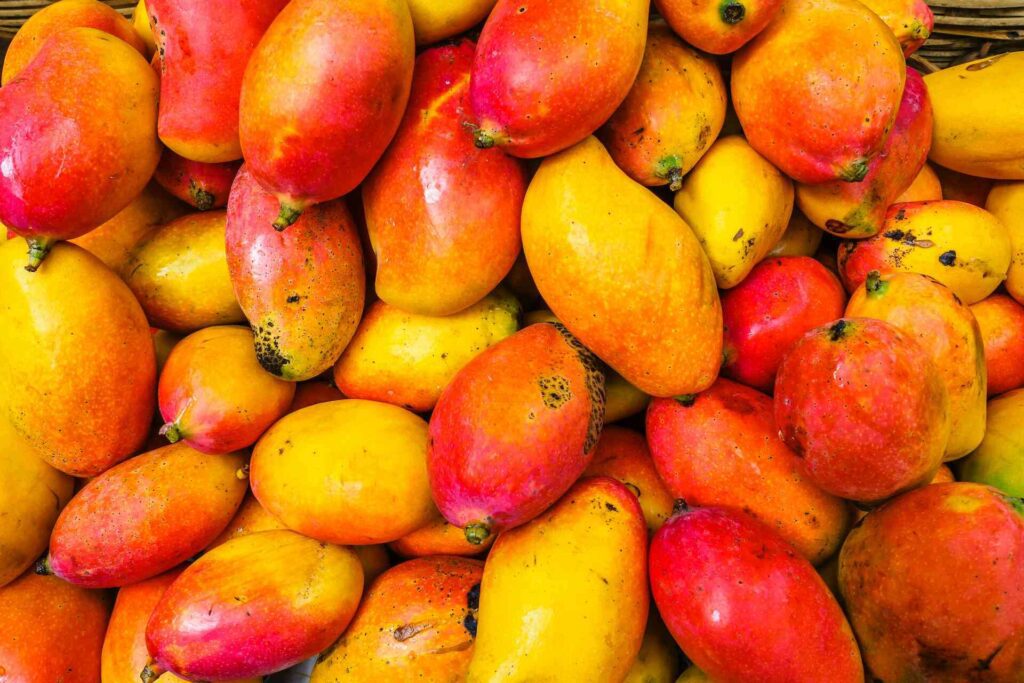 Mango